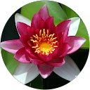 Corinne Perdrizat profile picture